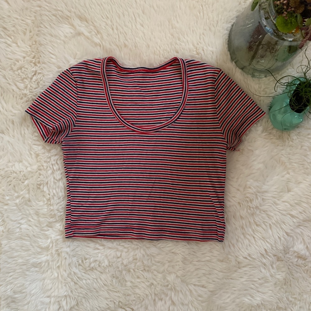 AA Striped Crop Top 🐌